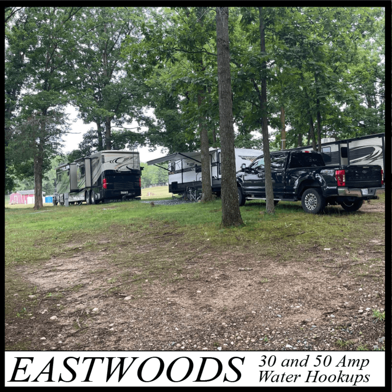 Faster Horses 2024 Electric Site in Eastwoods